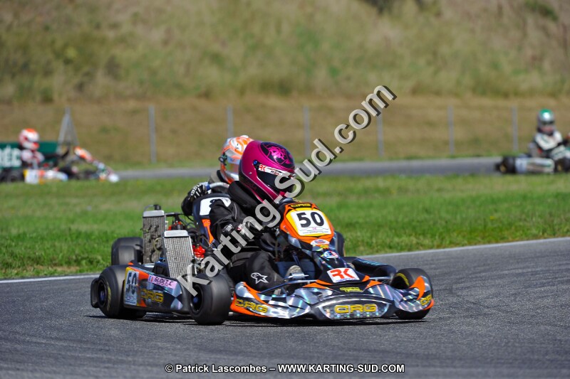 DSC_ (1400).jpg